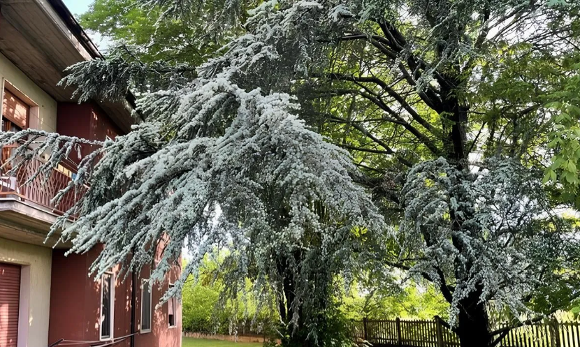 Residenza Arcobaleno Pontecurone
